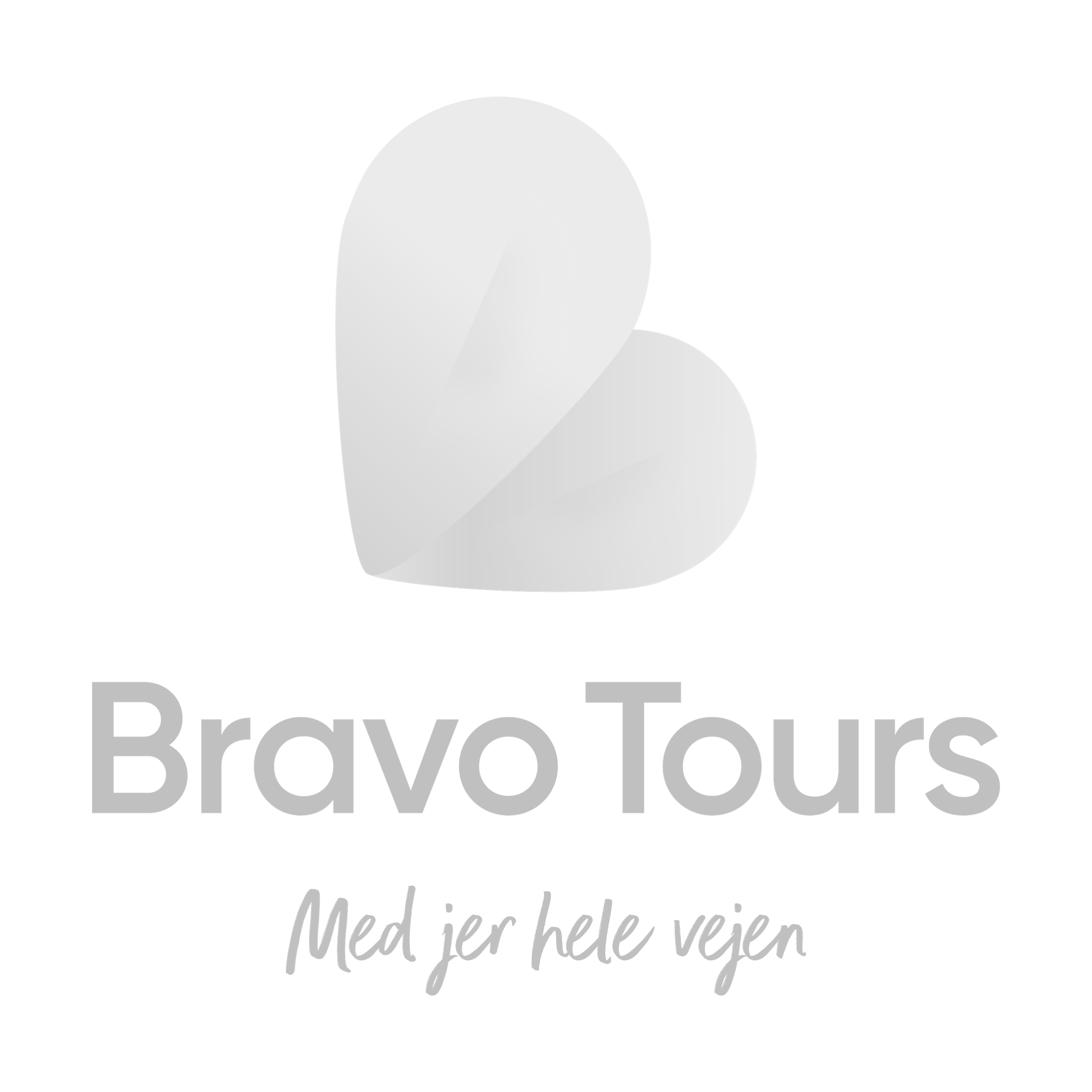 Logo_BravoTours_light grey