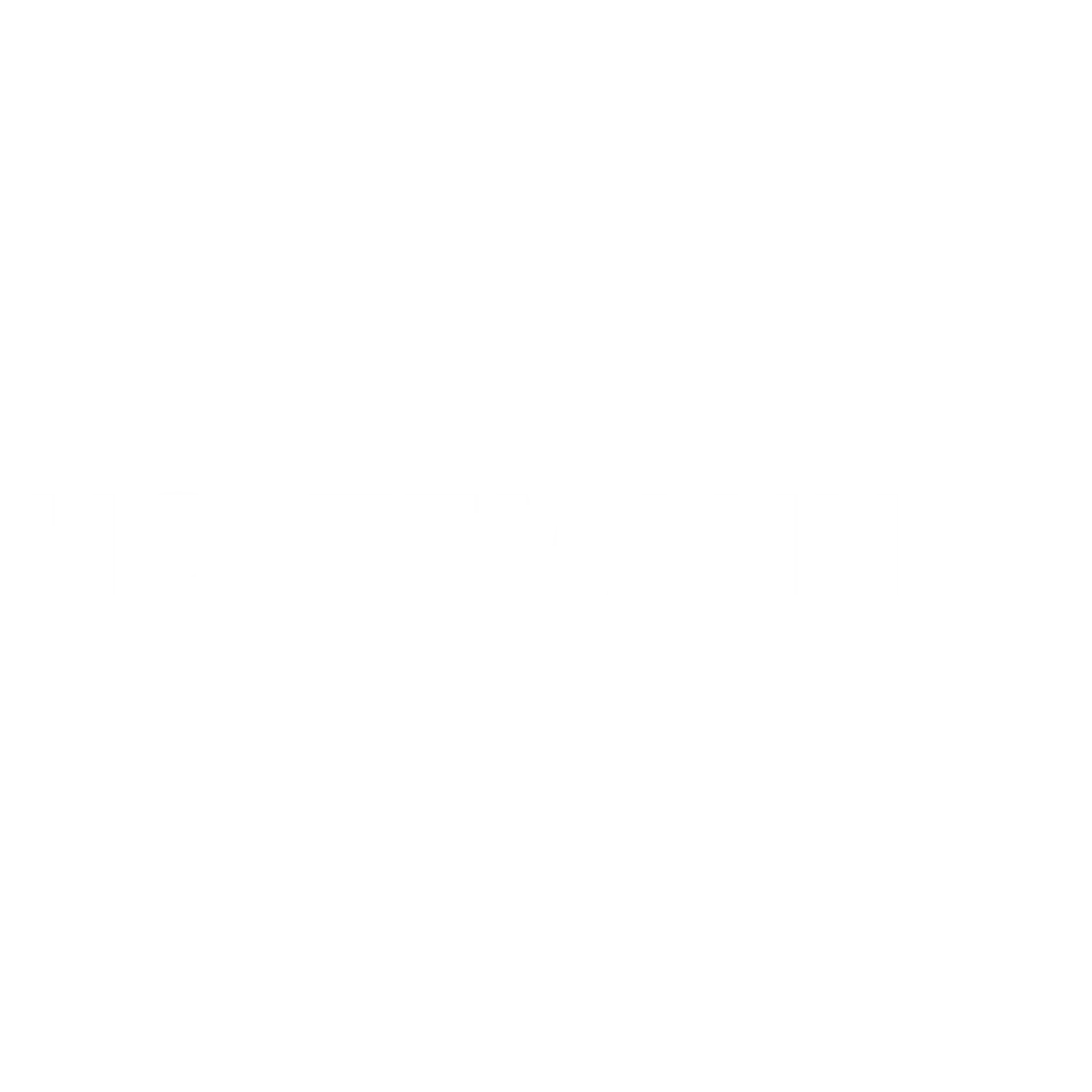Sponsor_Holtemann IT_Hvid_1
