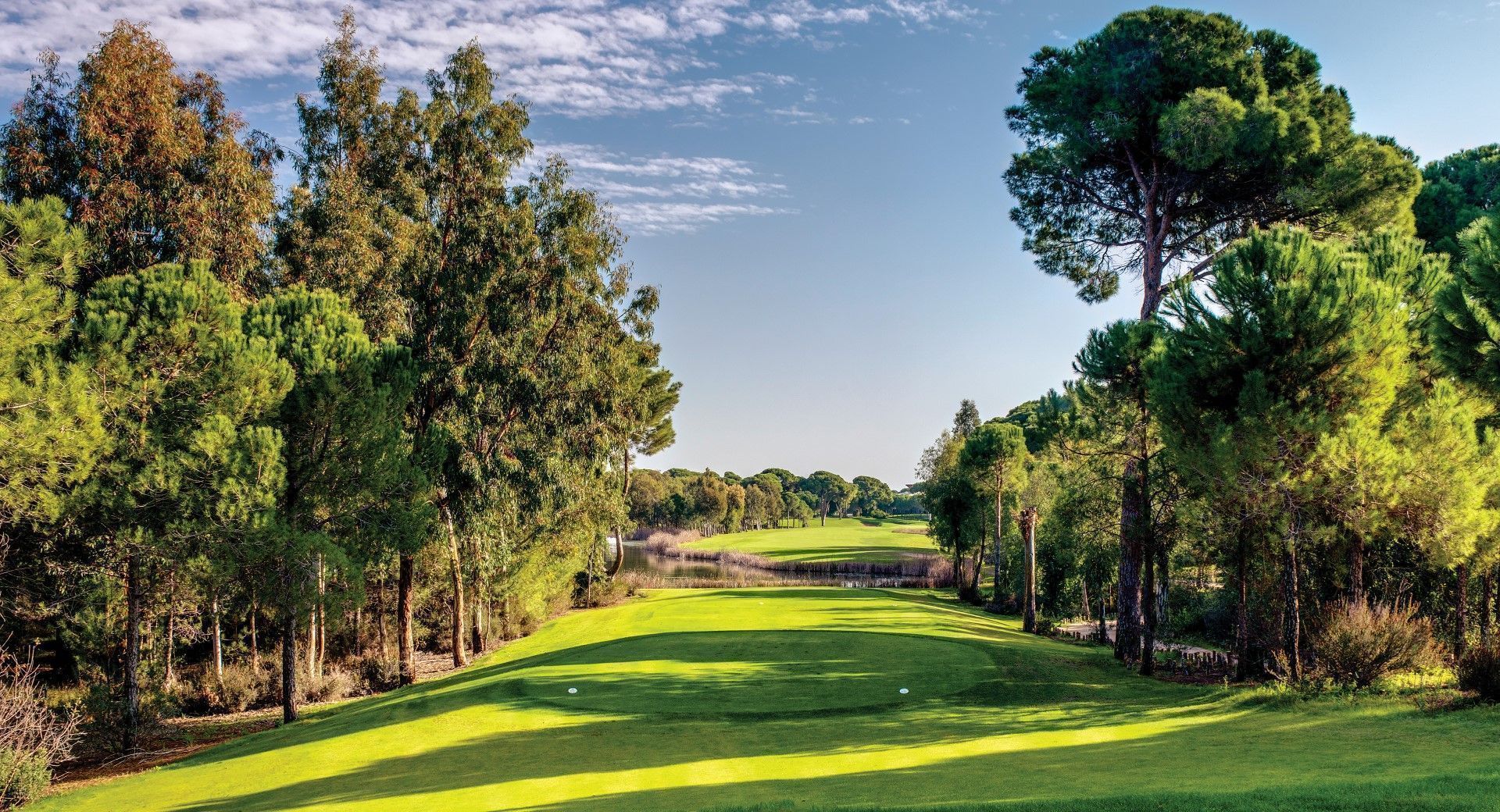 Defeuth Open 2026 - International (Tyrkiet) - Billede 18