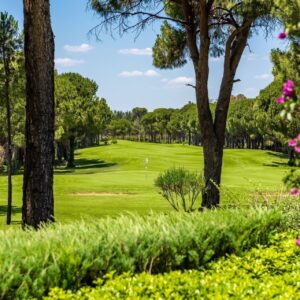 Defeuth Open 2026 - International (Tyrkiet)